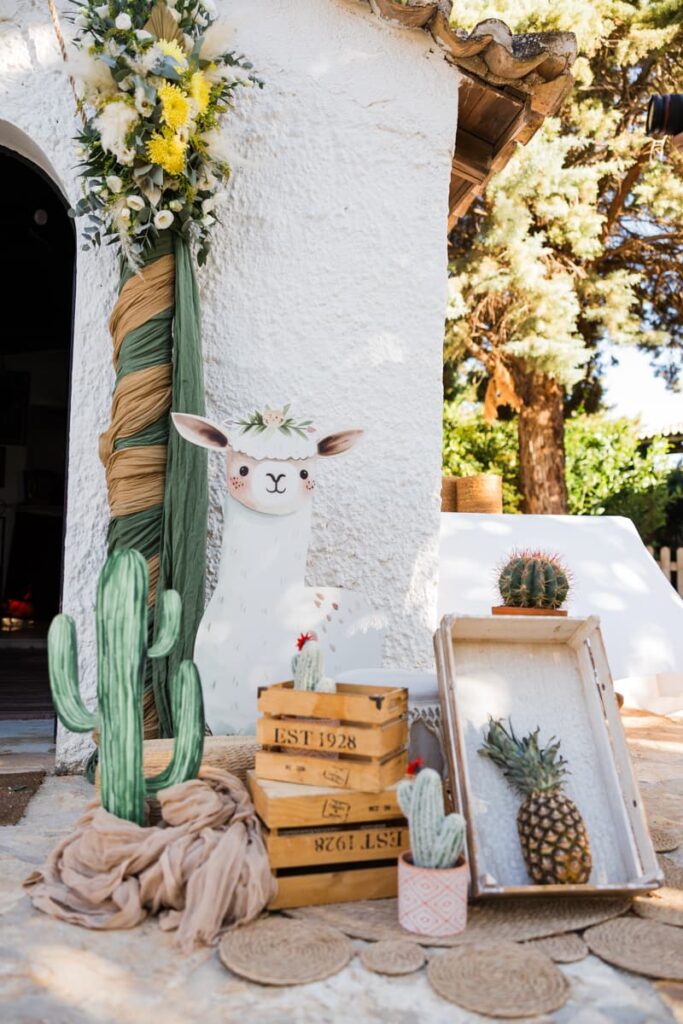 Στολισμός βάπτισης με κάκτους